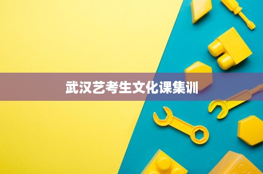 武汉艺考生文化课集训 武汉艺考生文化课集训