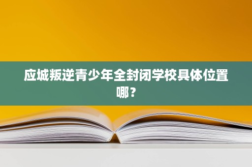 应城叛逆青少年全封闭学校具体位置哪? 应城叛逆青少年全封闭学校具体位置哪?