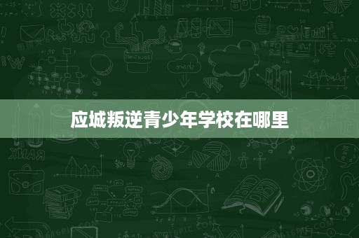 应城叛逆青少年学校在哪里