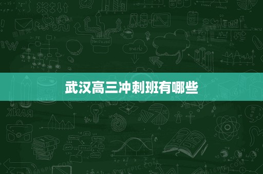 武汉高三冲刺班有哪些 武汉高三冲刺班有哪些