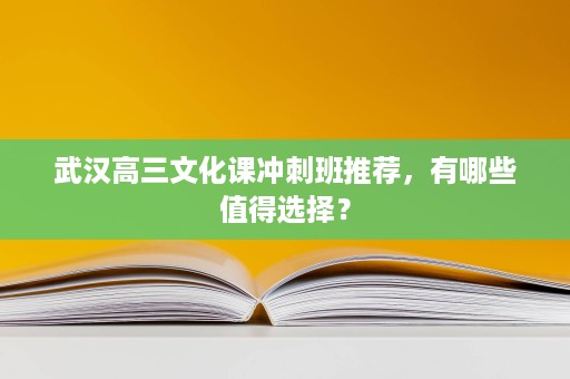 武汉高三文化课冲刺班推荐,有哪些值得选择? 武汉高三文化课冲刺班推荐,有哪些值得选择?