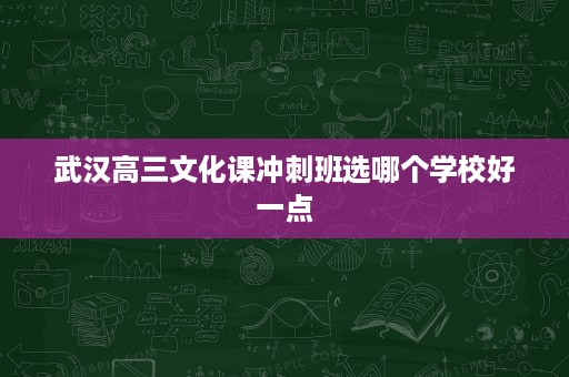 武汉高三文化课冲刺班选哪个学校好一点 武汉高三文化课冲刺班选哪个学校好一点