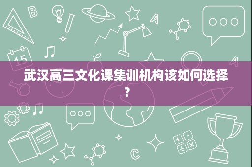 武汉高三文化课集训机构该如何选择? 武汉高三文化课集训机构该如何选择?