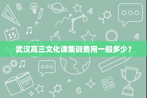 武汉高三文化课集训费用一般多少？