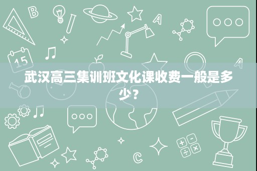 武汉高三集训班文化课收费一般是多少? 武汉高三集训班文化课收费一般是多少?