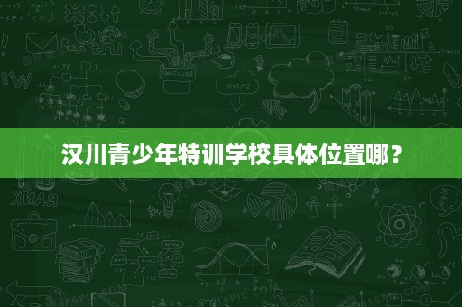 汉川青少年特训学校具体位置哪? 汉川青少年特训学校具体位置哪?