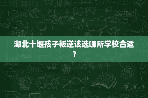 湖北十堰孩子叛逆该选哪所学校合适? 湖北十堰孩子叛逆该选哪所学校合适?