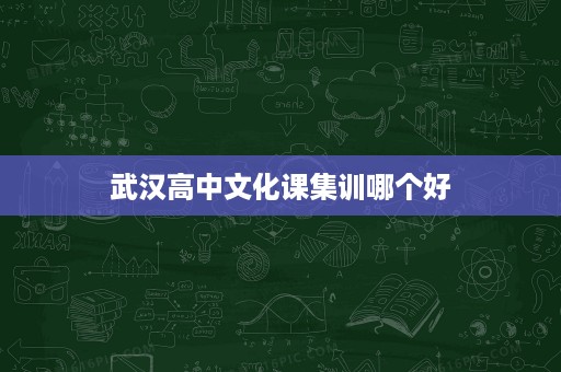 武汉高中文化课集训哪个好 武汉高中文化课集训哪个好