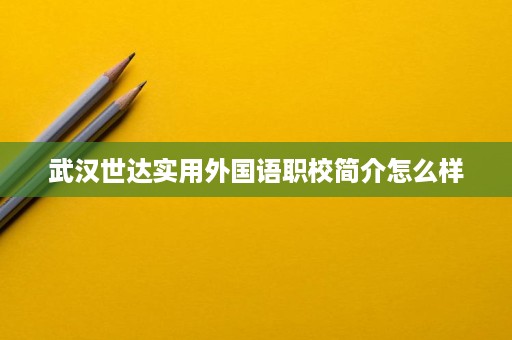武汉世达实用外国语职校简介怎么样