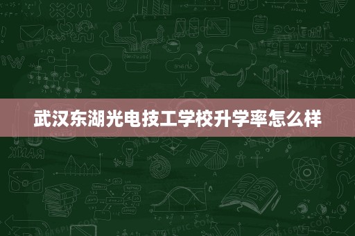 武汉东湖光电技工学校升学率怎么样 武汉东湖光电技工学校升学率怎么样