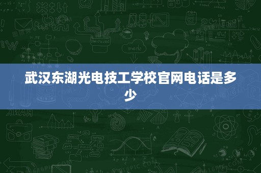武汉东湖光电技工学校官网电话是多少 武汉东湖光电技工学校官网电话是多少