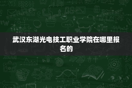 武汉东湖光电技工职业学院在哪里报名的