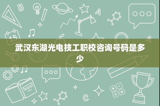 武汉东湖光电技工职校咨询号码是多少 武汉东湖光电技工职校咨询号码是多少