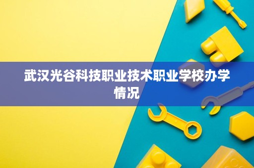 武汉光谷科技职业技术职业学校办学情况