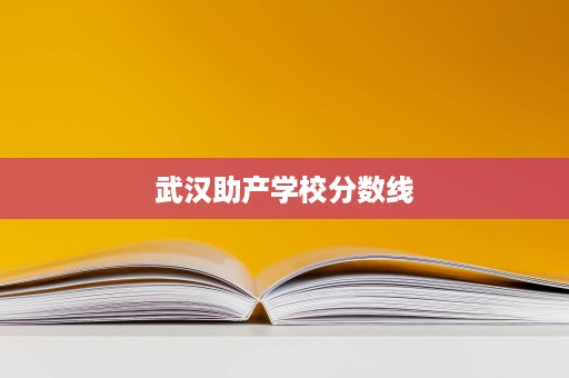 武汉助产学校分数线