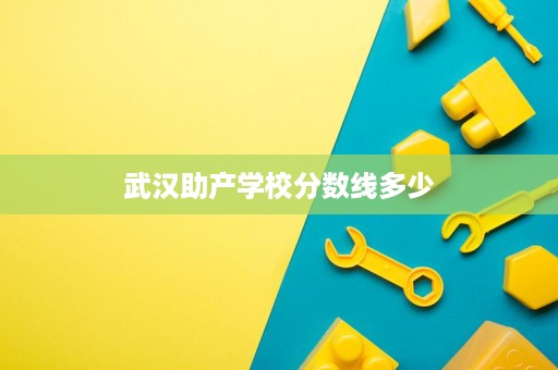 武汉助产学校分数线多少