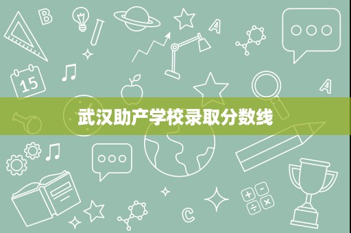 武汉助产学校录取分数线