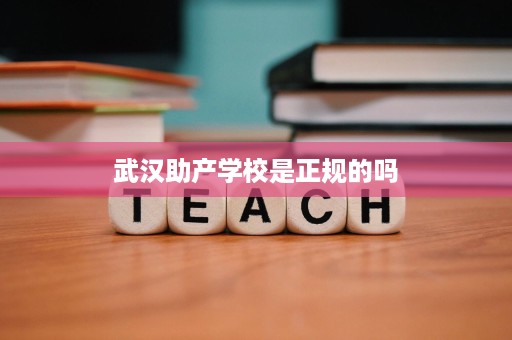武汉助产学校是正规的吗