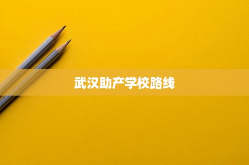 武汉助产学校路线