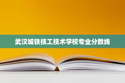 武汉城铁技工技术学校专业分数线