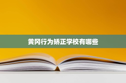 黄冈行为矫正学校有哪些