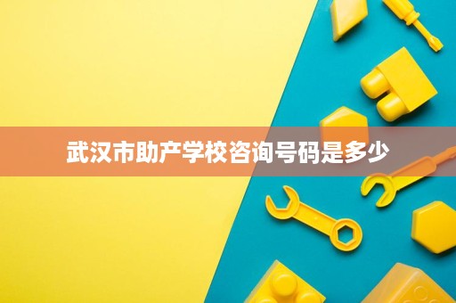 武汉市助产学校咨询号码是多少