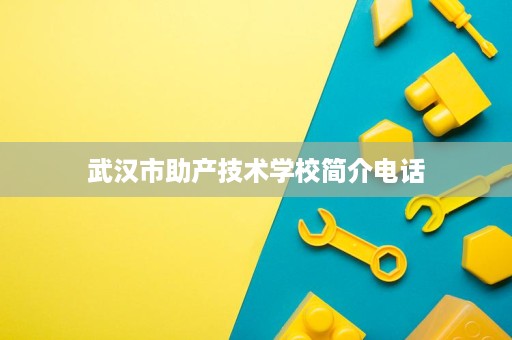 武汉市助产技术学校简介电话