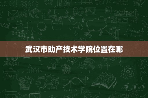 武汉市助产技术学院位置在哪