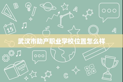 武汉市助产职业学校位置怎么样