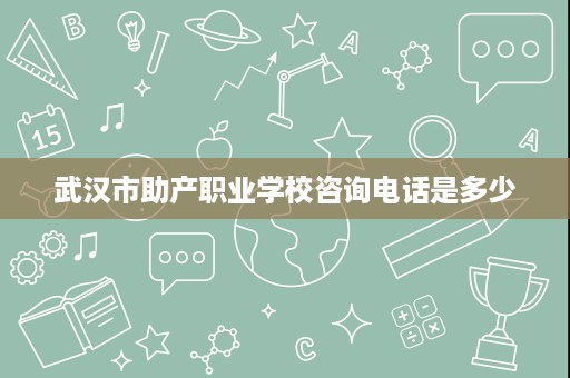 武汉市助产职业学校咨询电话是多少