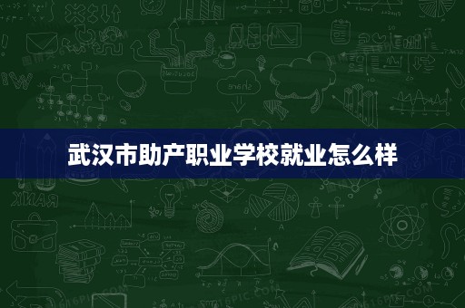 武汉市助产职业学校就业怎么样