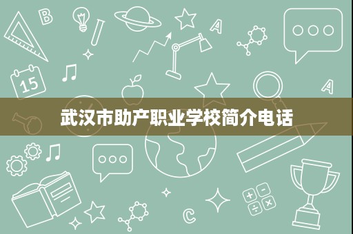 武汉市助产职业学校简介电话