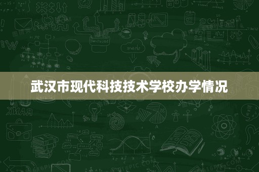 武汉市现代科技技术学校办学情况