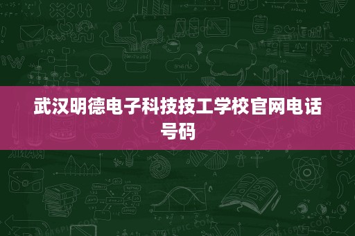 武汉明德电子科技技工学校官网电话号码