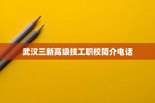 武汉三新高级技工职校简介电话