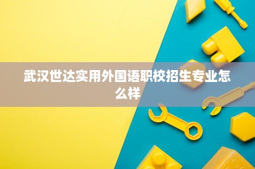 武汉世达实用外国语职校招生专业怎么样