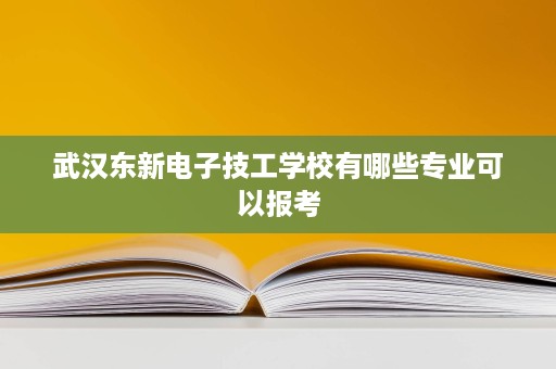 武汉东新电子技工学校有哪些专业可以报考