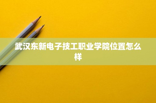 武汉东新电子技工职业学院位置怎么样