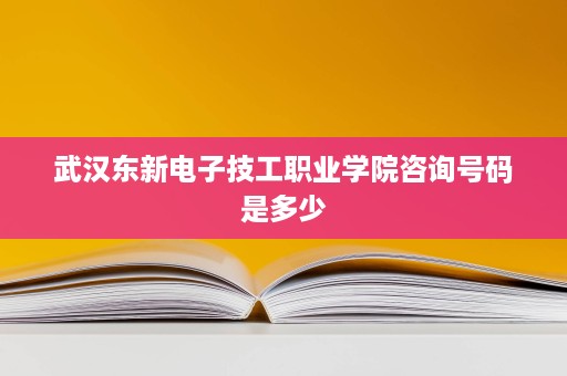 武汉东新电子技工职业学院咨询号码是多少