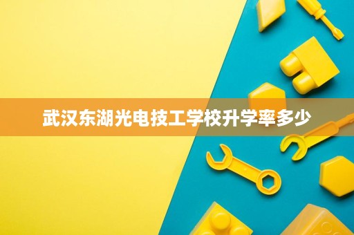 武汉东湖光电技工学校升学率多少