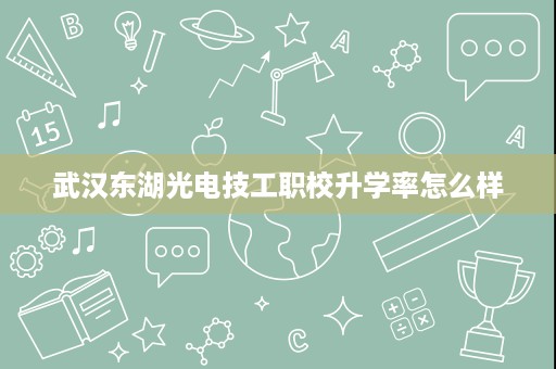 武汉东湖光电技工职校升学率怎么样