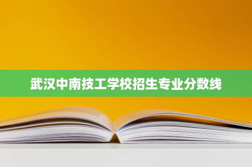 武汉中南技工学校招生专业分数线