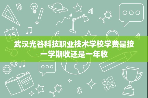 武汉光谷科技职业技术学校学费是按一学期收还是一年收