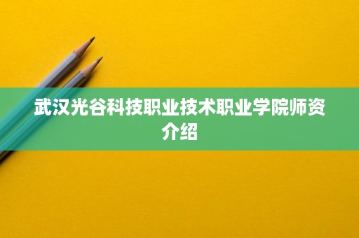 武汉光谷科技职业技术职业学院师资介绍