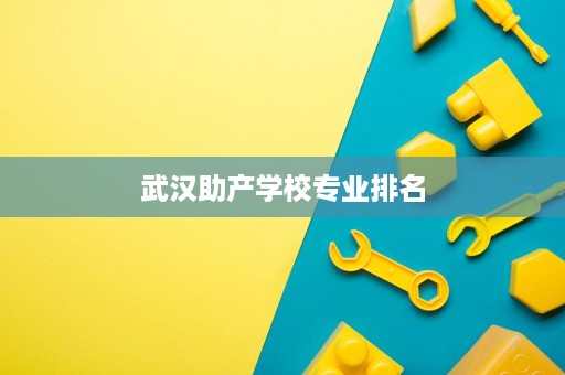 武汉助产学校专业排名