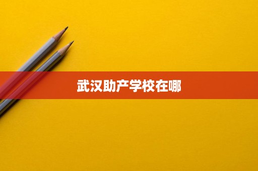 武汉助产学校在哪