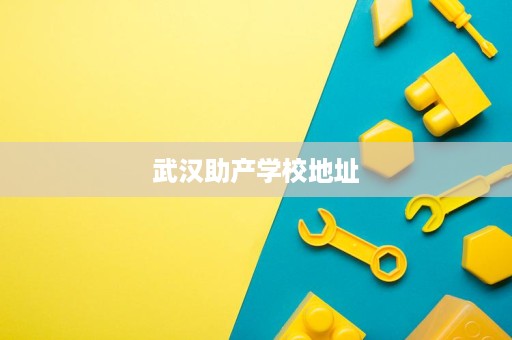 武汉助产学校地址