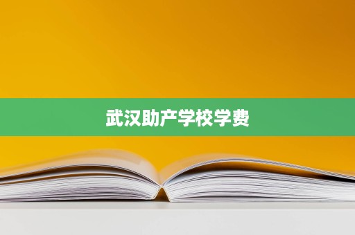 武汉助产学校学费