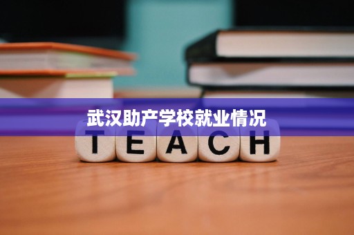 武汉助产学校就业情况