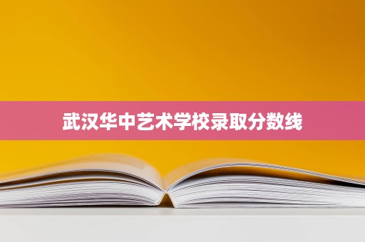 武汉华中艺术学校录取分数线